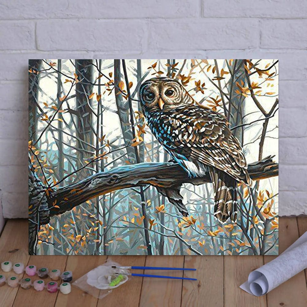 DIY Painting By Numbers -Owl