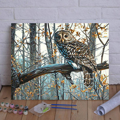 DIY Painting By Numbers -Owl