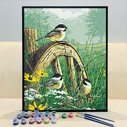 ColourMost™ DIY Painting By Numbers - Beautiful Birds