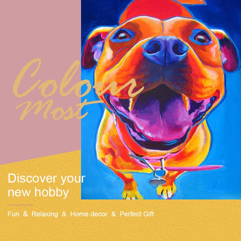 DIY Painting By Numbers - Colorful Dog (16"x20" / 40x50cm)