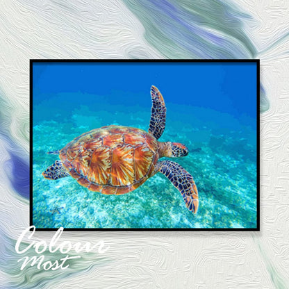 DIY Painting By Numbers -Sea turtle(16"x20" / 40x50cm)