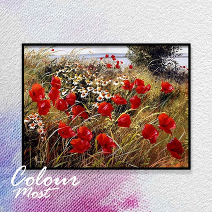 DIY Painting By Numbers -Poppies and Daisies (16"x20" / 40x50cm)
