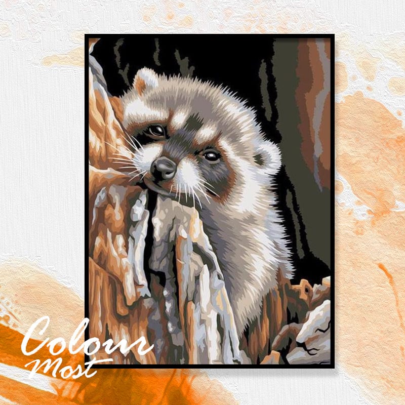 DIY Painting By Numbers - Raccoon (16"x20" / 40x50cm)